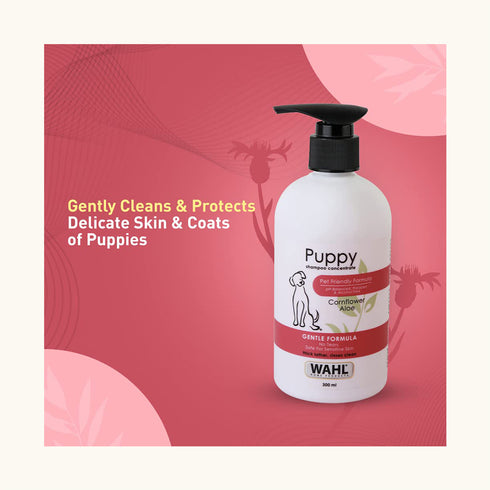 Wahl Puppy Cornflower Aloe Shampoo